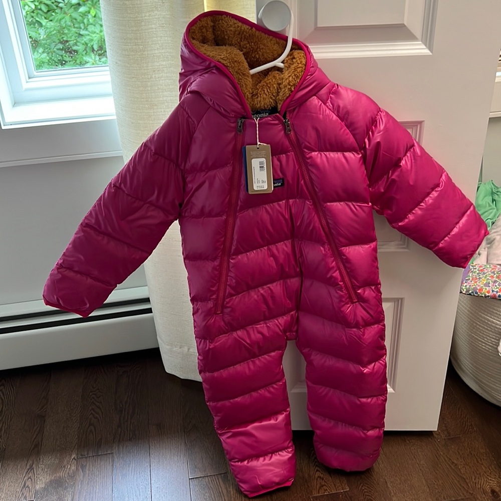 Brand new with tags Patagonia Hi-Loft Down Sweater Bunting